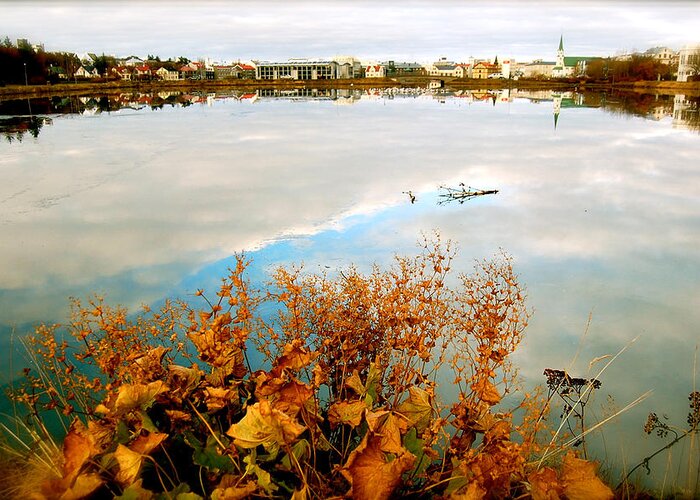 Reykjavik City Greeting Card featuring the photograph Autumn Ice by HweeYen Ong