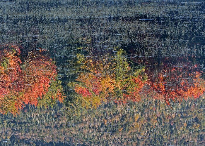 New Greeting Card featuring the photograph Autumn Impressionism by Juergen Roth