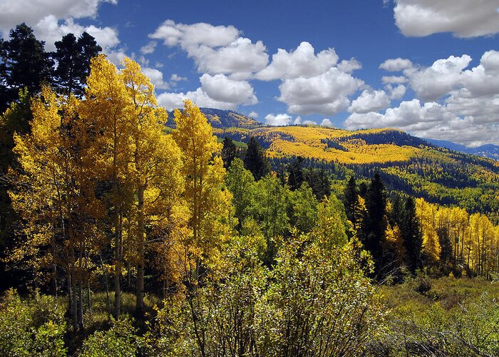Autumn Greeting Card featuring the photograph Autumn in New Mexico by Kurt Van Wagner