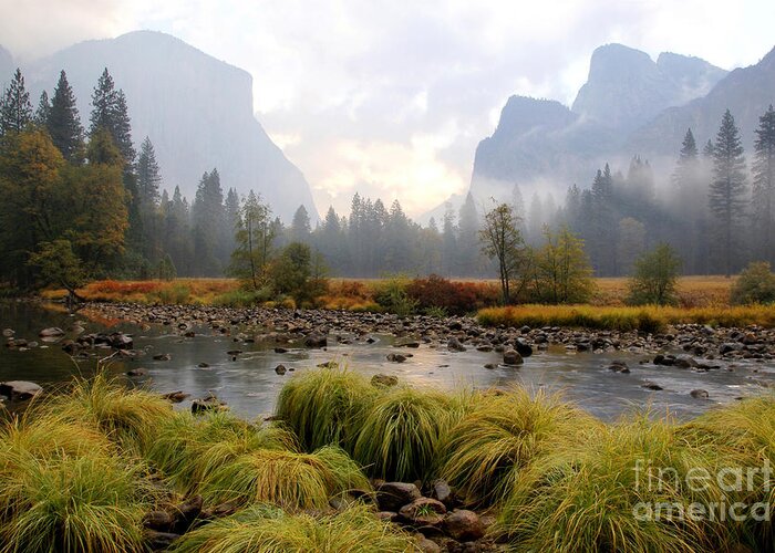 Yosemite National Park Greeting Card featuring the photograph Autumn in Yosemite valley by Benedict Heekwan Yang