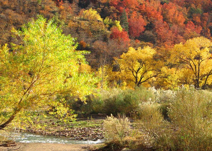 Autumn Greeting Card featuring the photograph Autumn in Zion by Alan Socolik