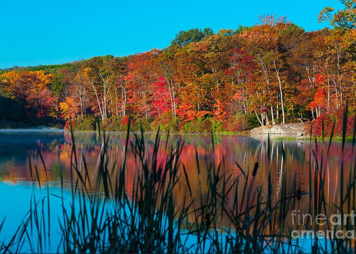 Harriman State Park Greeting Card featuring the photograph Autumn Lake by Anthony Sacco