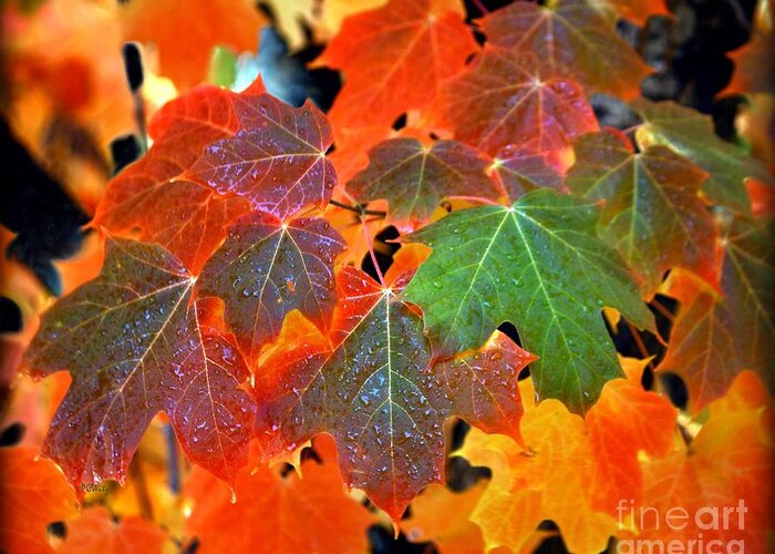 Autumn Leaf Progression Greeting Card featuring the photograph Autumn Leaf Progression by Patrick Witz