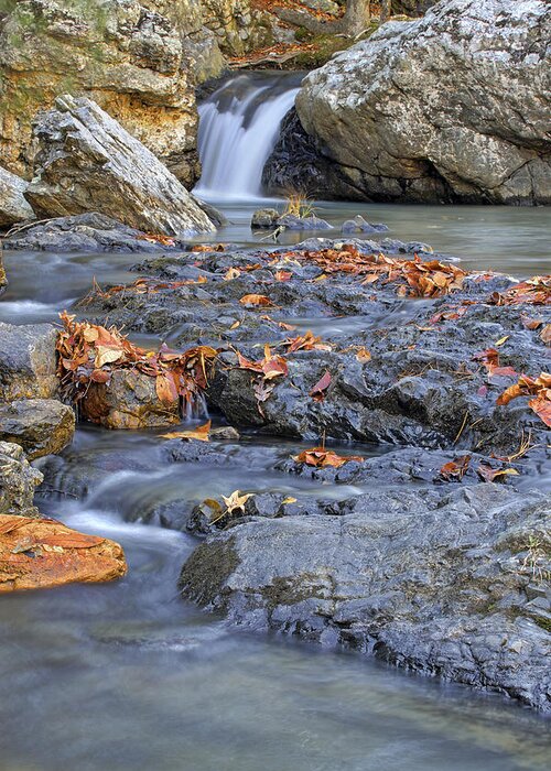 Arkansas Greeting Card featuring the photograph Autumn Leaves at Little Missouri Falls - Arkansas - Waterfall by Jason Politte