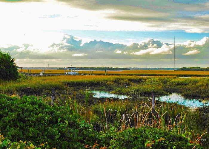 Wright Greeting Card featuring the photograph Autumn Marsh - Sullivans Island by Paulette B Wright