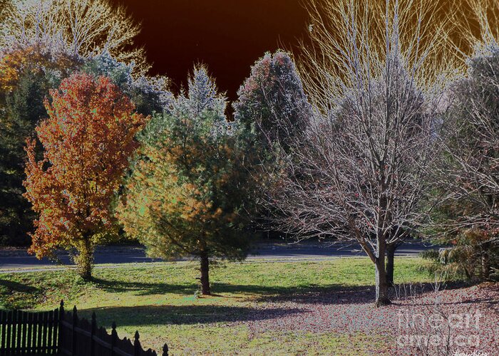 Landscape Greeting Card featuring the photograph Autumn Nights by Lyric Lucas