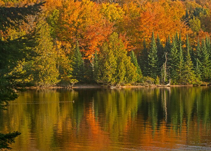 Autumn Greeting Card featuring the photograph Autumn on Grand Sable Lake by Gary McCormick