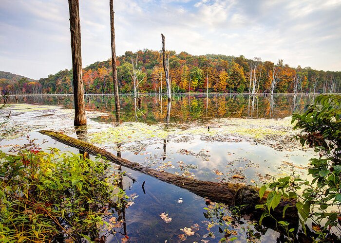 Monksville Greeting Card featuring the photograph Autumn on Monksville Reservoir - Long Pond Ironworks by Gary Heller