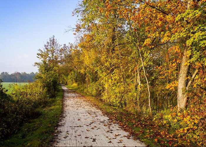 Cuyahoga Valley National Park Greeting Card featuring the photograph Autumn on the Towpath by Tim Fitzwater