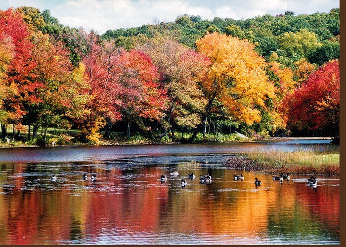 Scenic Greeting Card featuring the photograph Autumn Pond by William Selander