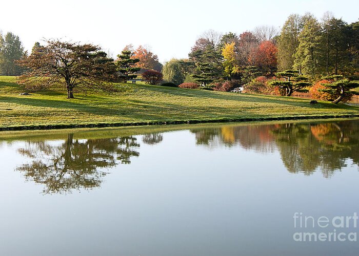 Autumn Greeting Card featuring the photograph Autumn Reflection by Patty Colabuono