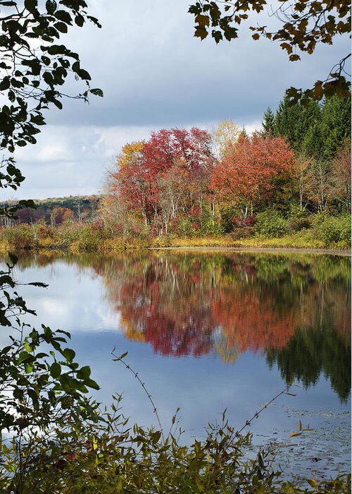 Autumn Greeting Card featuring the photograph Autumn Reflection Through The Trees by Christina Rollo