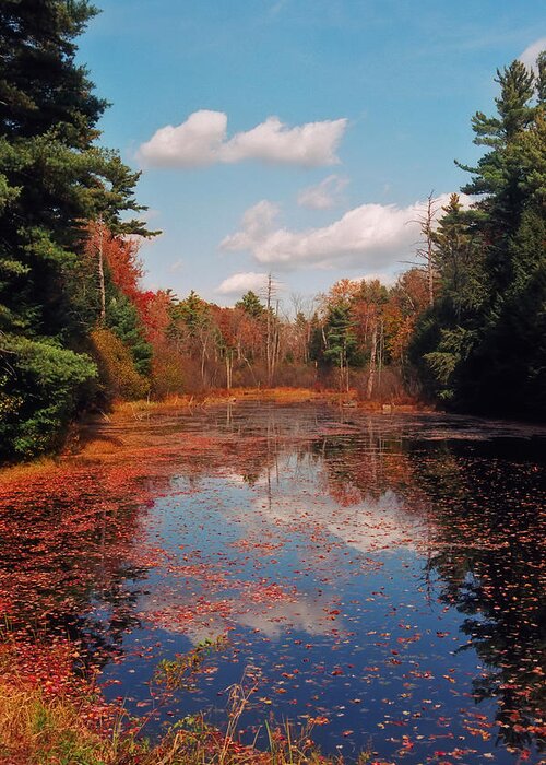Autumn Greeting Card featuring the photograph Autumn Reflections by Joann Vitali