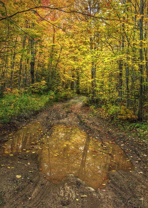 Autumn Greeting Card featuring the photograph Autumn reflections by Patricia Dennis