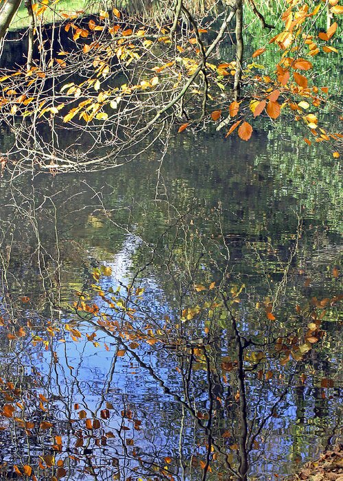 Autumn Reflections Greeting Card featuring the photograph Autumn Reflections by Tony Murtagh