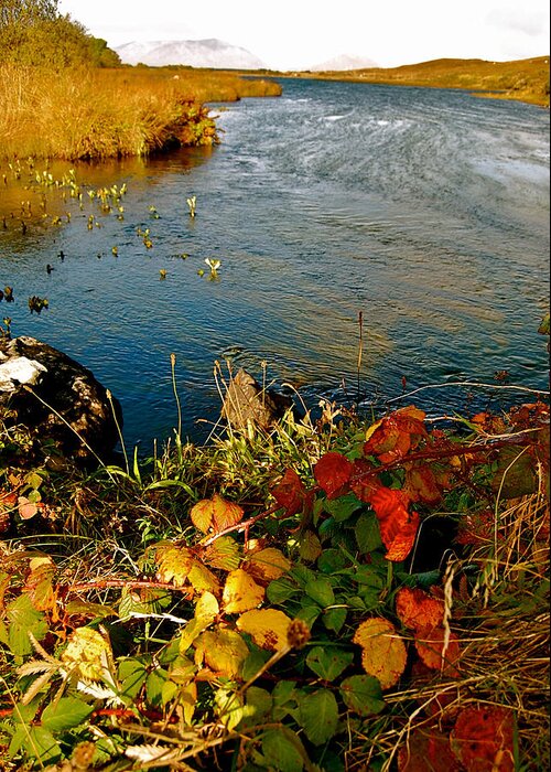 Autumn River Greeting Card featuring the photograph Autumn River by HweeYen Ong