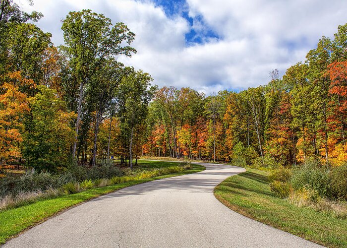 Autumn Greeting Card featuring the photograph Autumn Road by Bill and Linda Tiepelman