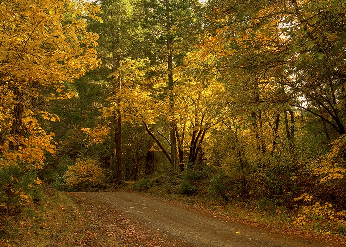 Loree Johnson Greeting Card featuring the photograph Autumn Road by Loree Johnson