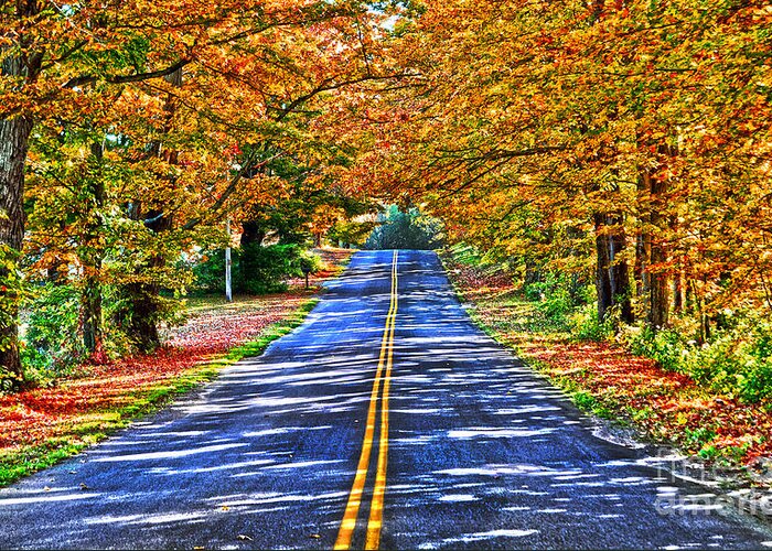 Diane Berry Greeting Card featuring the photograph Autumn Road Oneida County NY by Diane E Berry