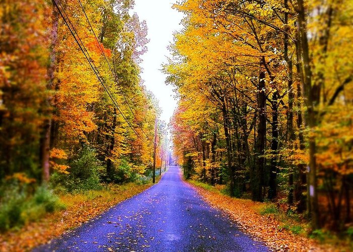 Fall Greeting Card featuring the photograph Autumn Road by Phillip Woolf