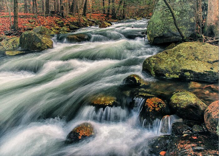 Autumn Rush - Barbara Socor Greeting Card featuring the photograph Autumn Rush by Barbara Socor