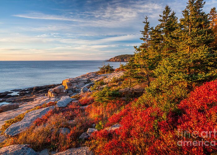 Acadia National Park Greeting Card featuring the photograph Autumn Shore in Acadia by Susan Cole Kelly