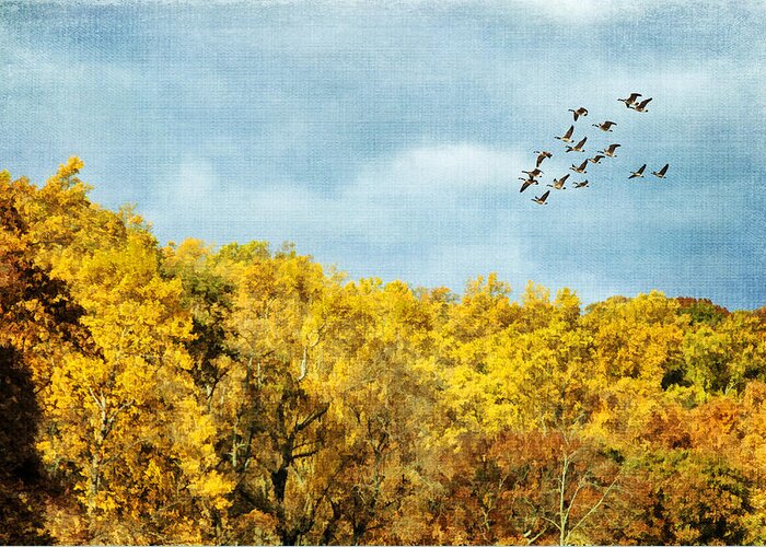 Autumn Greeting Card featuring the photograph Autumn Skies by Cathy Kovarik