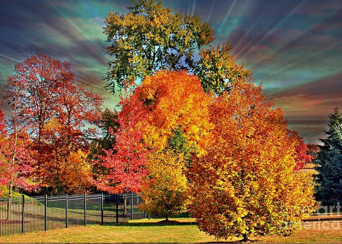 Autumn Greeting Card featuring the photograph Autumn Splendor by Judy Palkimas