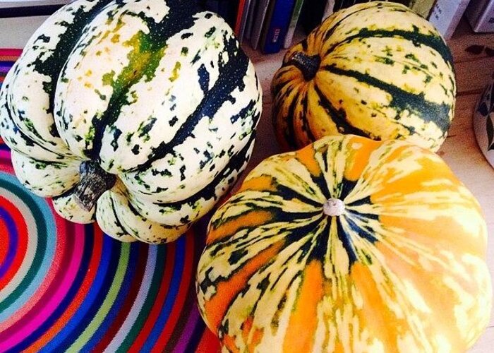 Autumn Greeting Card featuring the photograph Autumn Squashes #nofilters #squashes by Mark Thornton