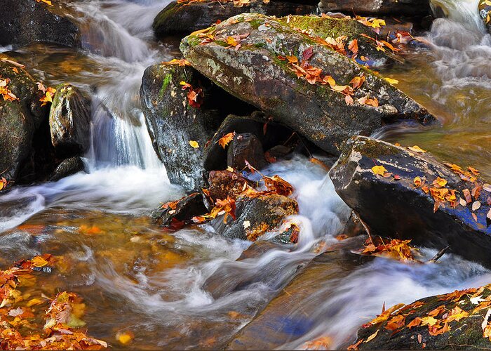 Autumn Greeting Card featuring the photograph Autumn Stream North Georgia by Bruce Gourley