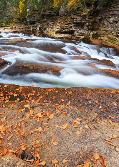 Lower Ammonoosuc Falls Greeting Card featuring the photograph Autumn Waterfall by Bryan Bzdula