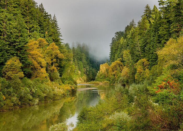 Eel River Greeting Card featuring the photograph Autumnal Fog Over the Eel by Greg Nyquist