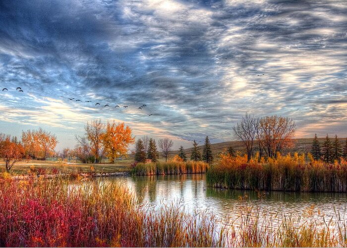 Autumn Greeting Card featuring the photograph Autumnal Morn by Larry Trupp