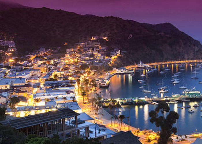 Catalina Island Greeting Card featuring the photograph Avalon Sunset by Sean Davey