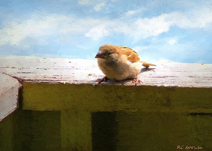 Bird Greeting Card featuring the painting Aw Shucks by RC DeWinter