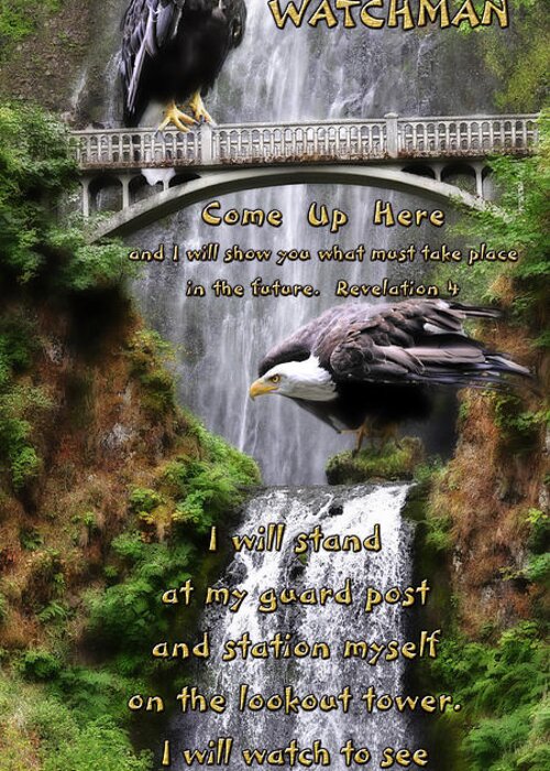 Eagle Greeting Card featuring the photograph Awaken the Watchman by Constance Woods
