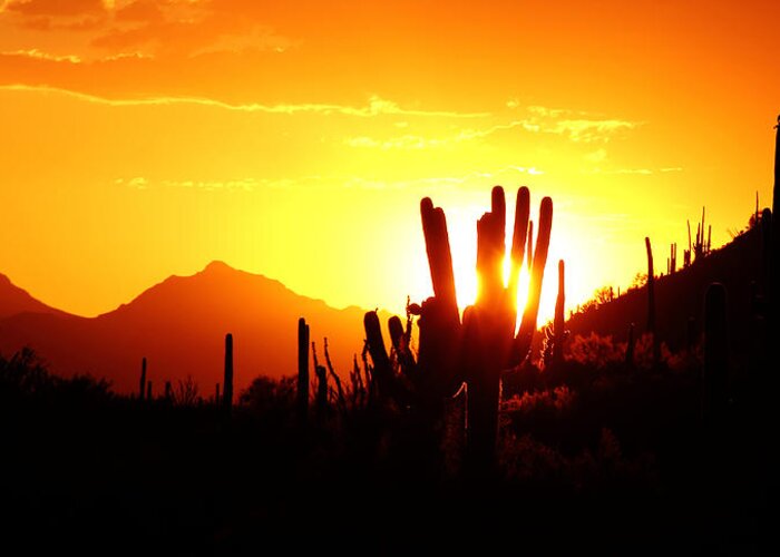 Sun Greeting Card featuring the photograph AZ Sunset by Elaine Malott