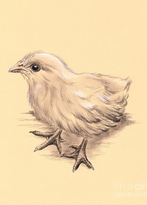 Chick Greeting Card featuring the drawing Baby Chicken by MM Anderson