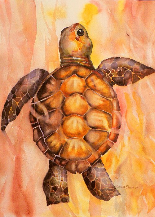 Baby Turtle Caribbean Sea Greeting Card featuring the painting Baby in the Sunset by Pamela Shearer