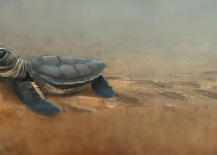 Sea Turtle Greeting Card featuring the digital art Baby Turtle by Aaron Blaise