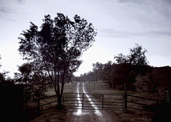 Road Greeting Card featuring the photograph Back Country Road And Then The Rain Came by James BO Insogna