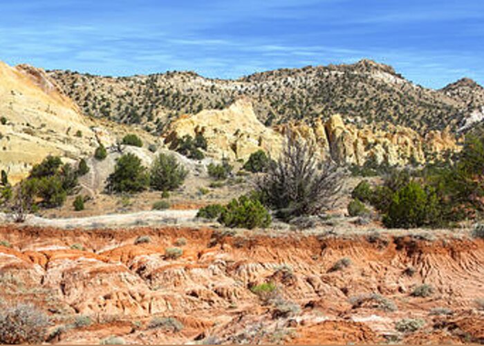 Desert Greeting Card featuring the photograph Backroads Utah Panoramic by Mike McGlothlen