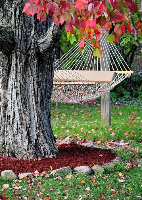 Hammock Greeting Card featuring the photograph Backyard Hammock by Frozen in Time Fine Art Photography
