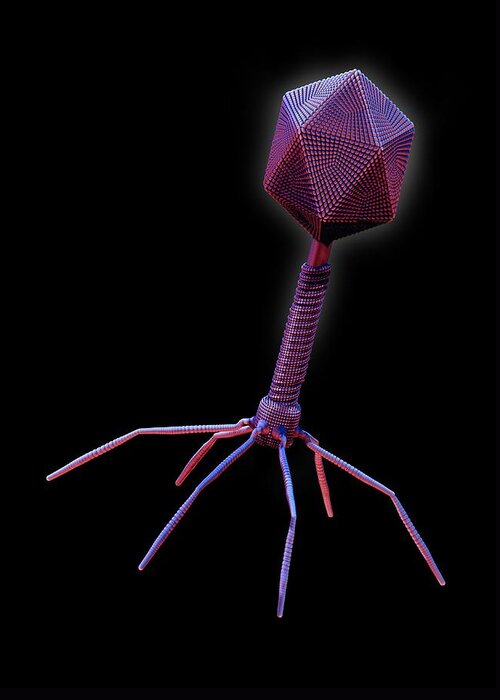 Artwork Greeting Card featuring the photograph Bacteriophage virus by Science Photo Library