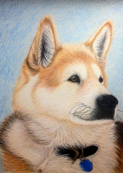 Dog Greeting Card featuring the drawing Bailey by Jo Prevost