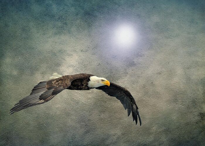 Eagle Greeting Card featuring the photograph Bald Eagle Textured Art by David Dehner