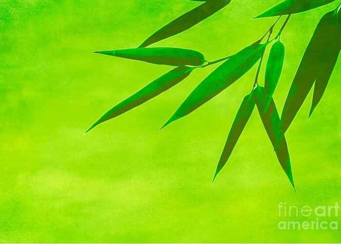 Asia Greeting Card featuring the photograph Bamboo Leaves by Hannes Cmarits