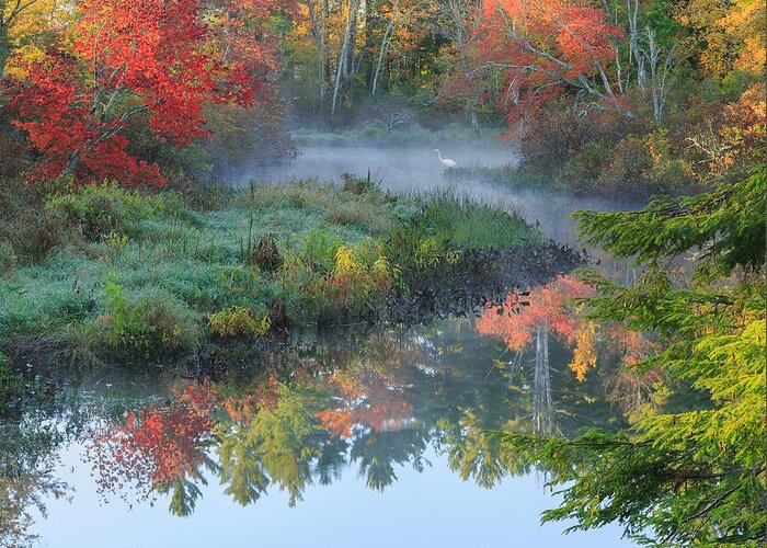 Autumn In New England Greeting Card featuring the photograph Bantam River Autumn Square by Bill Wakeley