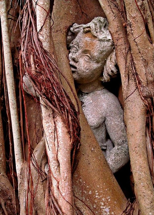 Banyan Tree Greeting Card featuring the digital art Banyan Boy close up by Maria Huntley