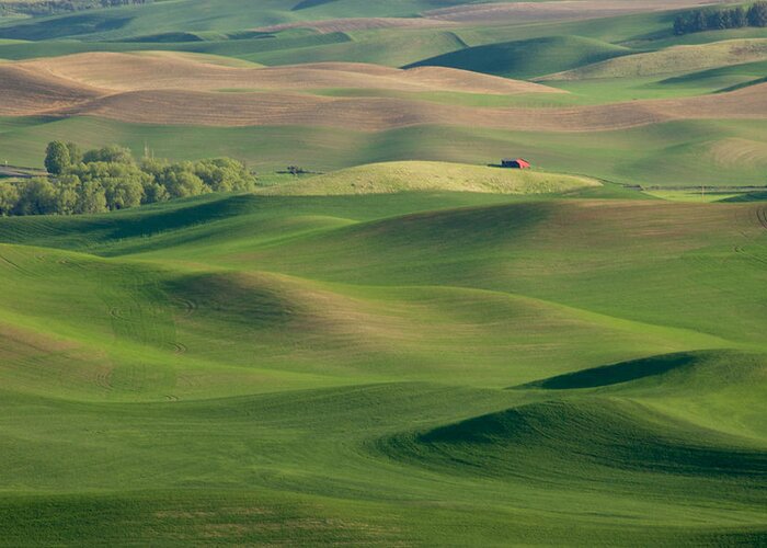 Palouse Greeting Card featuring the photograph Barn Among the Contours by Mary Lee Dereske